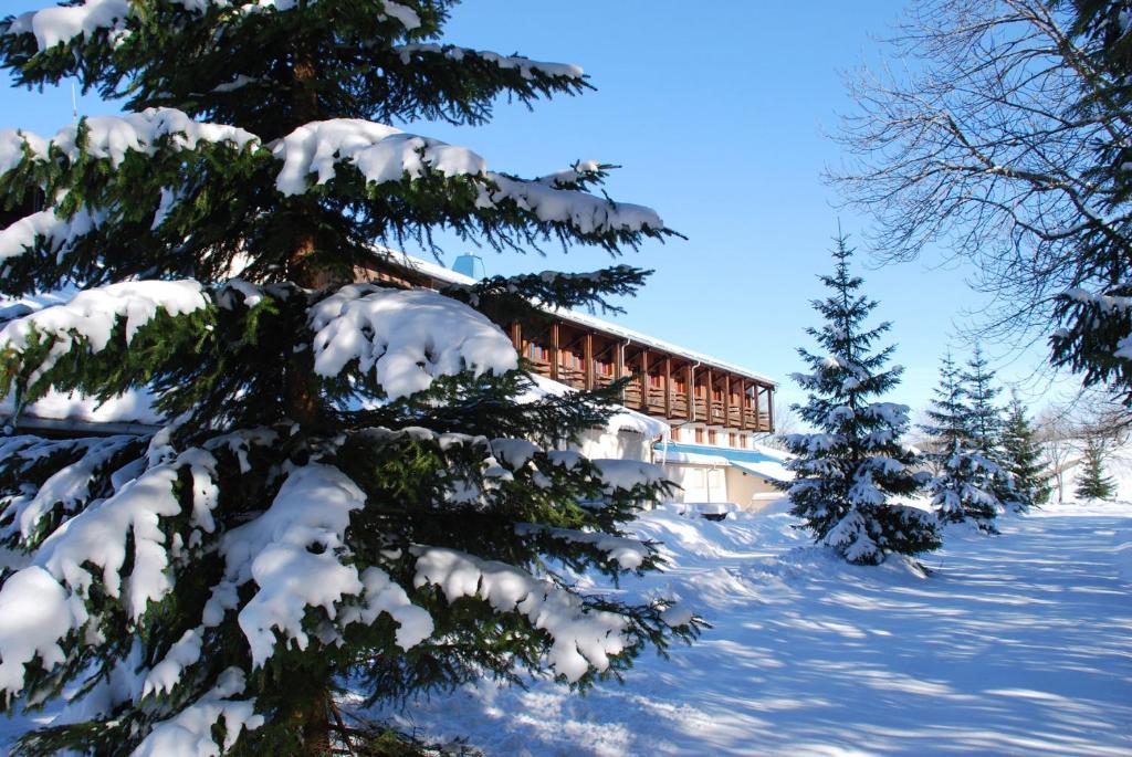 Hotel Le Grand Chalet Foncine-le-Haut Ngoại thất bức ảnh
